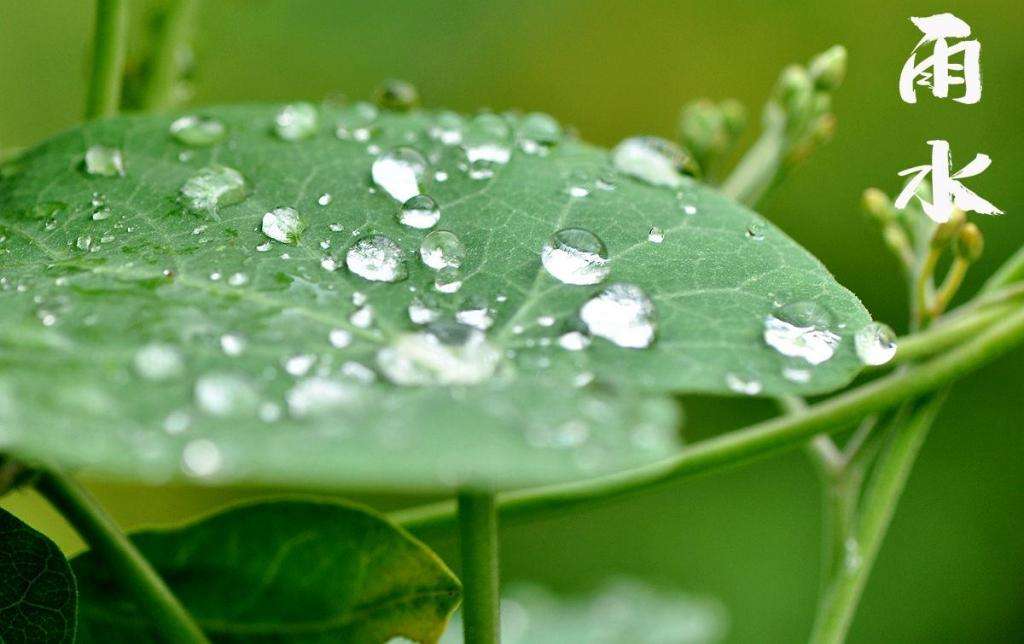 雨水！